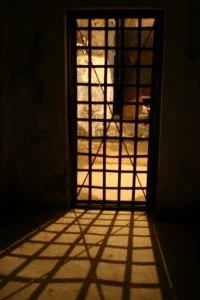 Portret Alexandru Bogdanovici