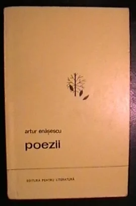 Portret Artur Enășescu