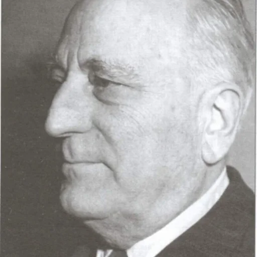 Portret Demostene Botez