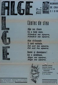 Portret Fredy Goldștein