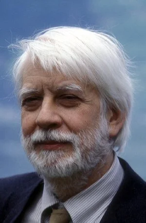 Portret Giovanni Raboni