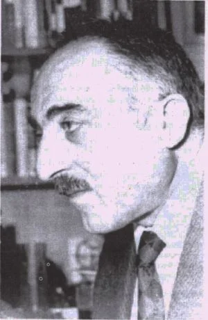 Portret Ioanichie Olteanu