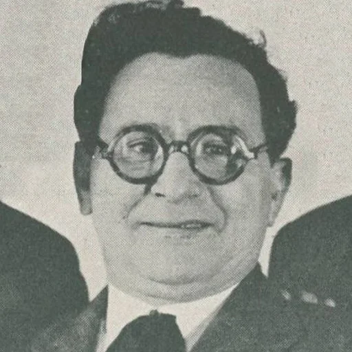 Ion Pribeagu