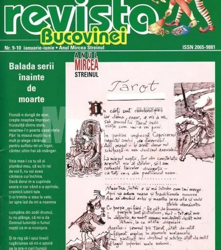 Portret Mircea Streinul