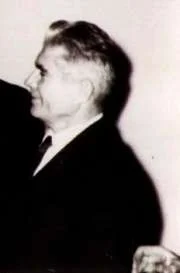 Nicolae Popescu-Meriș