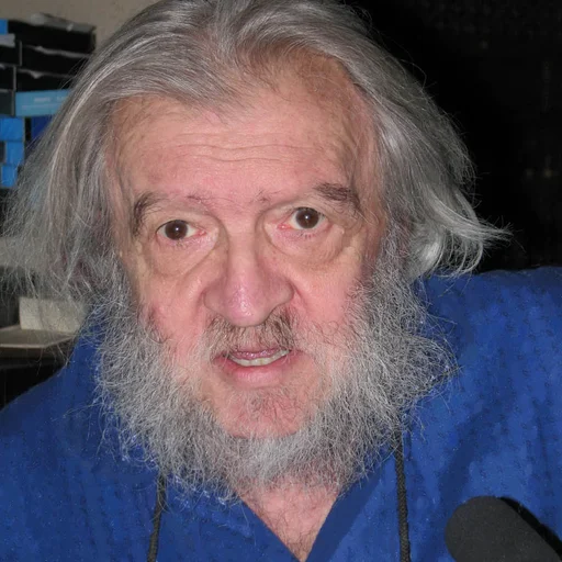 Portret Romulus Vulpescu