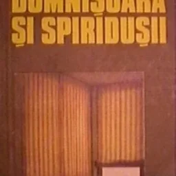 Portret Vasile Petre Fati