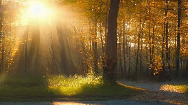 Poate l-ați întâlnit: Mentorul AI